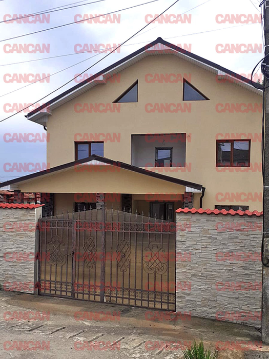 Sora Denisei a moștenit și casa pe care artista o construise la Ștefănești