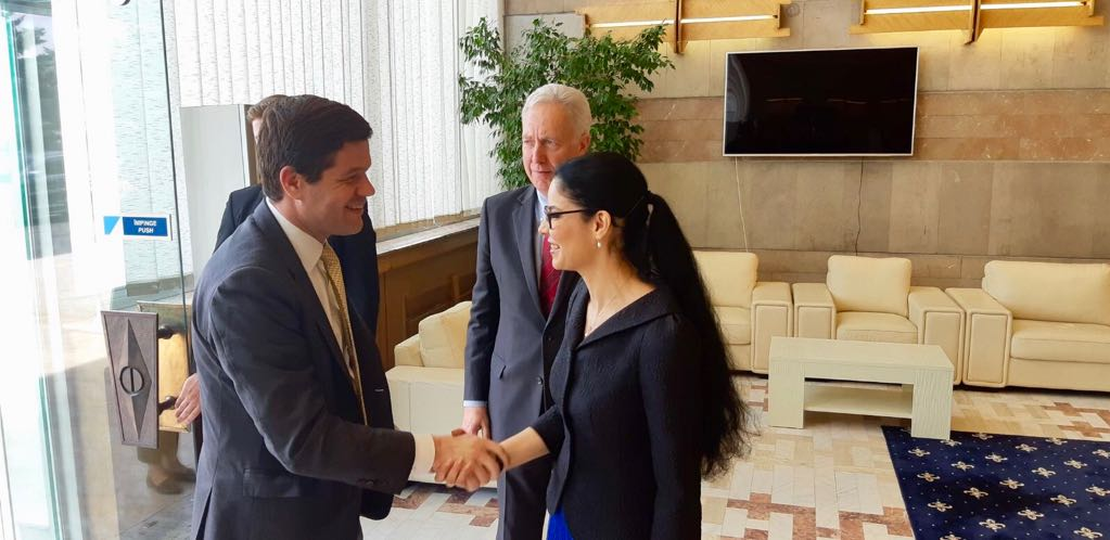 Întâmpinarea domnului Wess Mitchell, asistentul Secretarului de Stat al SUA