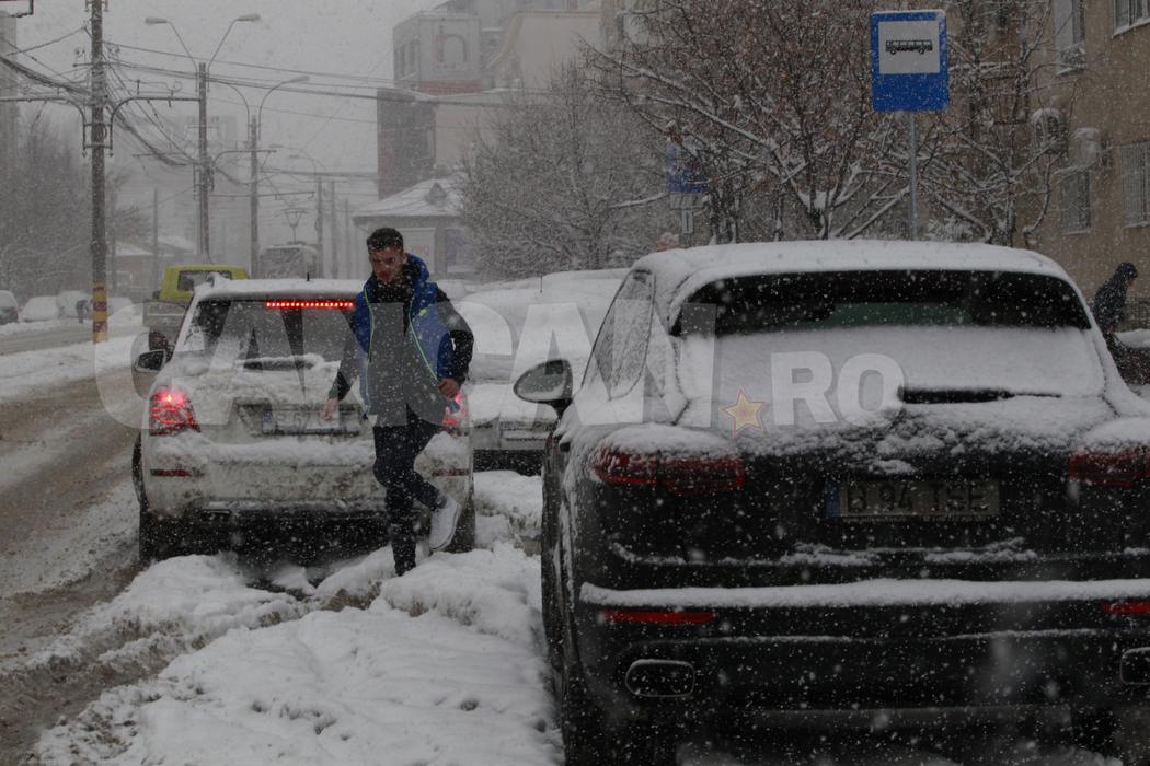 S-a intors după o accidentare groaznică! Unde l-am pozat pe „Briliantul” Stelei înainte de reunire
