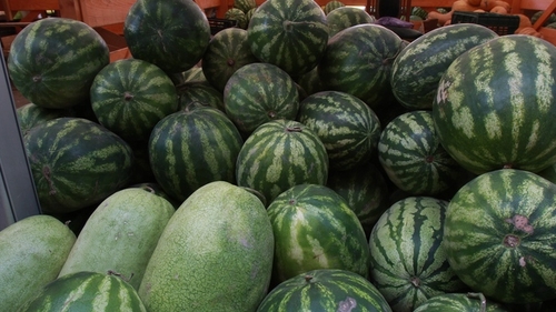 Se plang ca raman cu marfa in galantare dar... Cultivatorii de pepeni ar puteatransforma fructele nevandute in aur! Vezi cum