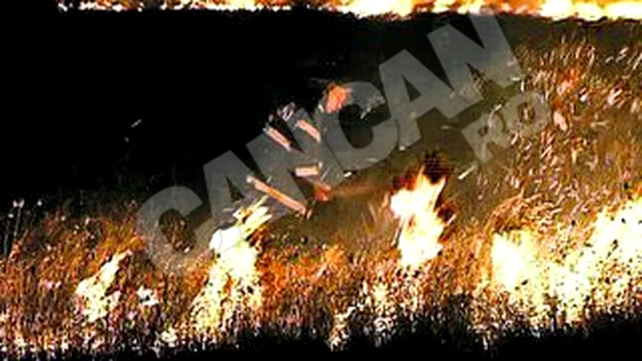 Au ars 300 de hectare din Biosfera Delta Dunarii