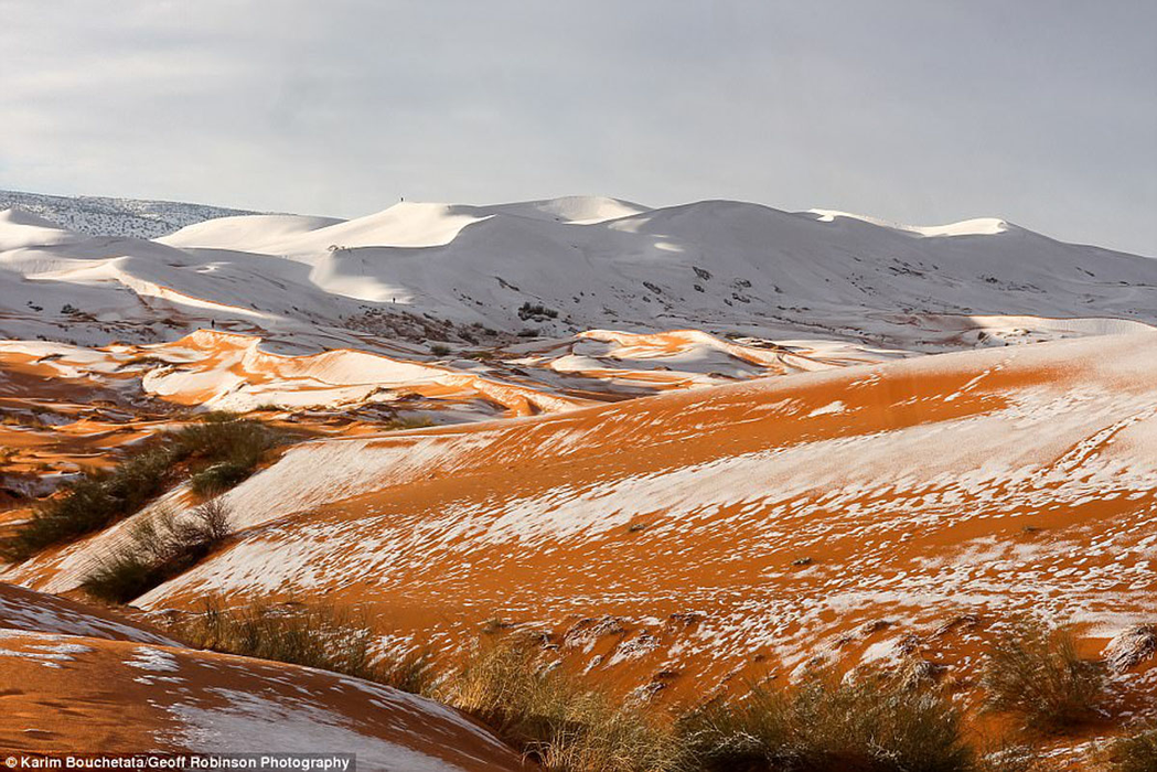 GALERIE FOTO. Zăpadă în deșertul Sahara, după o ninsoare extrem de rară