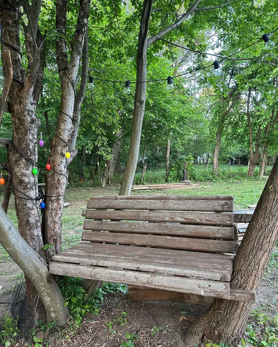 Cum arată casa în care locuiește Mihaela Bilic, din inima pădurii: “Nu am curent electric, nici apă”