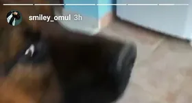 Galerie foto - poza 4