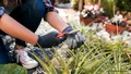 Ce e bine să faci în grădină la final de mai ca să ai o recoltă bogată. Cele mai importante lucrări pe care grădinarii le încep ca să se pregătească de vară