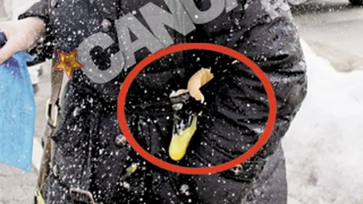 Anna Maria Duma (fosta Uzunov) a fost atacata in fata Judecatoriei Buftea. Batuta cu oua si bulgari de zapada inainte de judecata