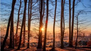 Meteorologii au făcut un anunț îngrijorător: anomalie termică record în România! Prognoza pentru următoarele 3 zile