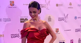 Galerie foto - poza 2