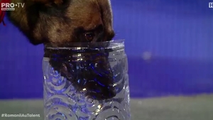 Românii au talent, sezonul 9. Lachi, câinele care își tine respirația VIDEO
