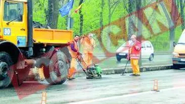 Bomba biologica pe culoarul unic al NATO