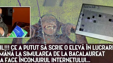 Incredibil!!! Ce a putut să scrie o elevă în lucrarea de la română la SIMULAREA DE LA BACALAUREAT 2015. Teza face furori