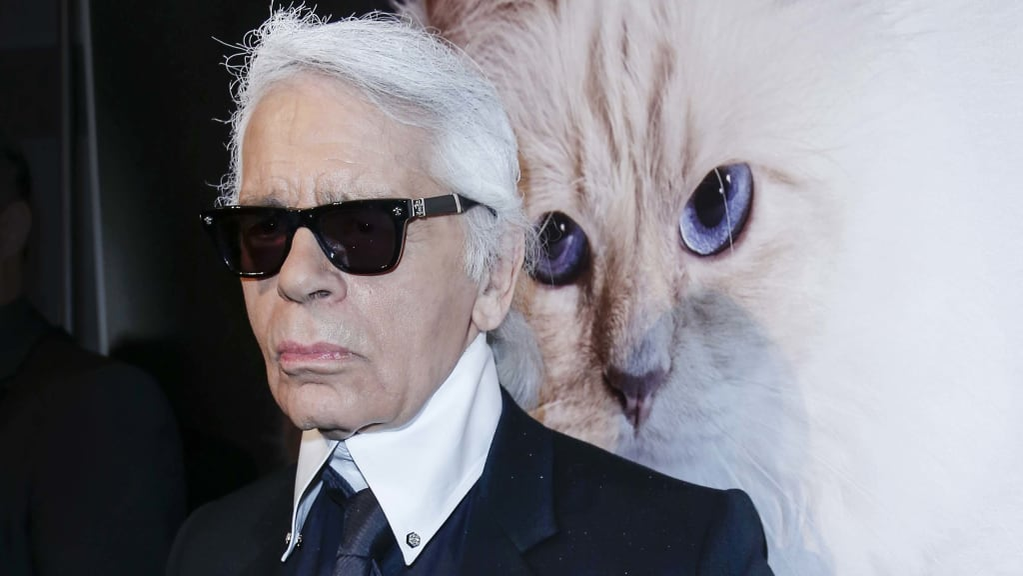 Pisica lui Karl Lagerfeld, ”în doliu”. Choupette le-a „mulțumit” fanilor pe Instagram