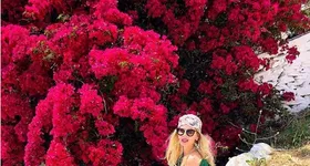 Galerie foto - poza 4