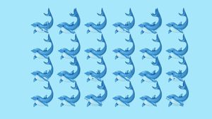 Test IQ exclusiv pentru genii | Câți delfini sunt, de fapt, în această imagine?