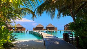 Vedeta din România care NU merge în vacanțe: „Mă plictisesc. O singură dată am încercat”