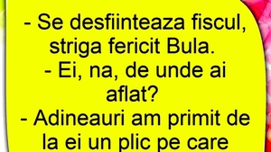 BANC | Bulă strigă fericit: "Se desființează FISC-ul!"