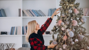 (P) Aspect natural, preț mic – cum să alegi bradul perfect anul acesta