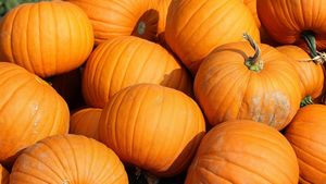 Prețuri de groază, înainte de Halloween! Cât costă un kilogram de dovleac la final de octombrie