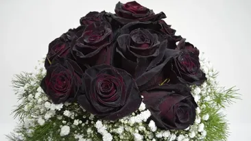 Andrei Ichim, un copil geniu din Iași, s-a sinucis la vârsta de 14 ani. Avusese mai multe discuții aprinse cu tatăl său în ultima perioadă