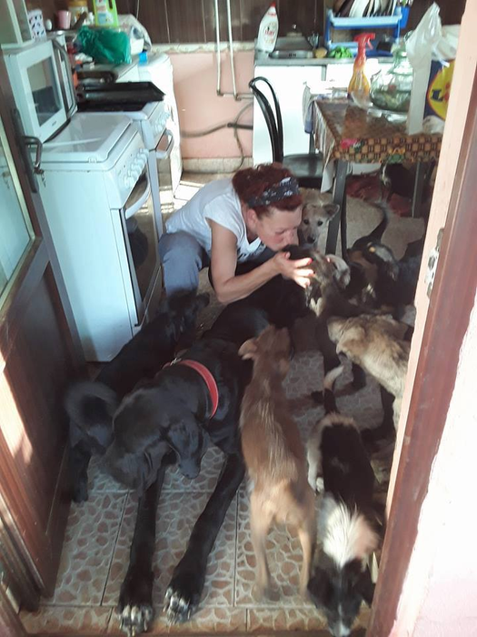 Câinii au parte de tratament special acasă la Daniela