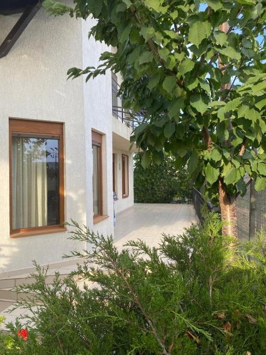 Vila lui Alexandru Arșinel. Sursă foto: booking