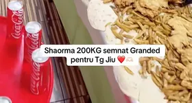 Galerie foto - poza 2