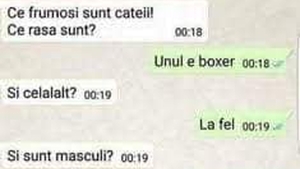 BANCUL ZILEI | "Ce frumoși sunt cățeii. Ce rasă sunt?"