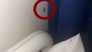 VIDEO REVOLTĂTOR. Copii tratați printre gândaci la Spitalul de Pediatrie din Pitești