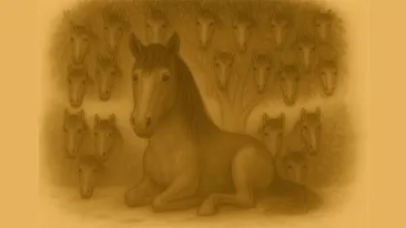 Test de inteligență | Câți cai sunt, de fapt, în această iluzie optică?