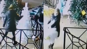 O femeie din Cluj a furat un brad din fața unui magazin. Pomul s-a dezmembrat, însă hoața a dus treaba până la capăt