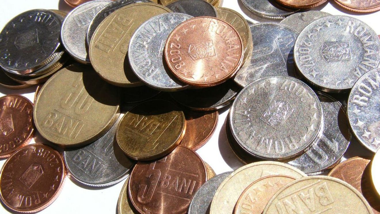 Vouchere sociale. Ce poţi cumpăra, de fapt, pe bonuri în 2022? Ai 250 de lei şi e interzis să achiziţionezi asta cu ele