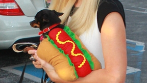 Paris Hilton se apuca iar de muzica! Vezi cu ce trupa renumita va scoate o piesa!