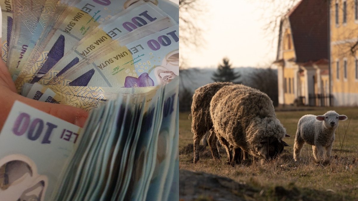 Cât va costa carnea de miel în 2026. Alimentul se scumpește înainte de Paște