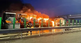 Galerie foto - poza 3