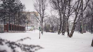 Prognoza meteo pentru marți, 23 decembrie 2025. Vreme preponderent închisă, frig și umitidate accentuată