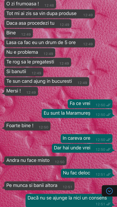 Conversația dintre Andra Voloș și tânăra care o acuză că nu a respectat barterul /  Sursă foto: CANCAN