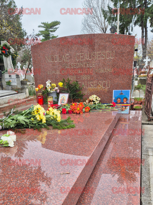 Cum arată astăzi mormântul soților Ceaușescu