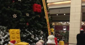 Galerie foto - poza 2