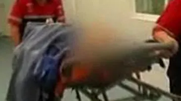 VIDEO Greseala enorma in Galati! In loc sa tranchilizeze cainii, hingherii au tranchilizat un batran!