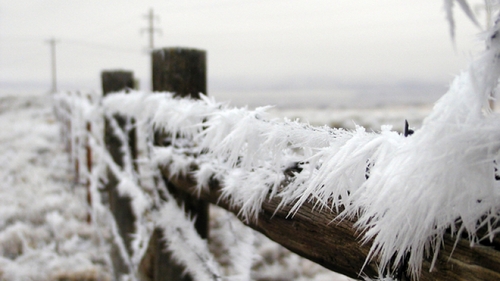 Weekend geros în România! Temperaturile ajung până la -25 de grade
