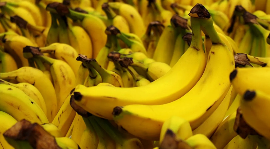 Banane export