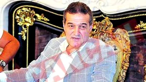 Gigi Becali cultiva rosii si castraveti