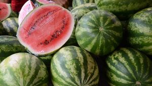 NU E BANC! Cât costă 1 kg de pepeni de Dăbuleni la tarabă versus direct de la producător