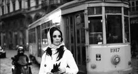 Galerie foto - poza 4