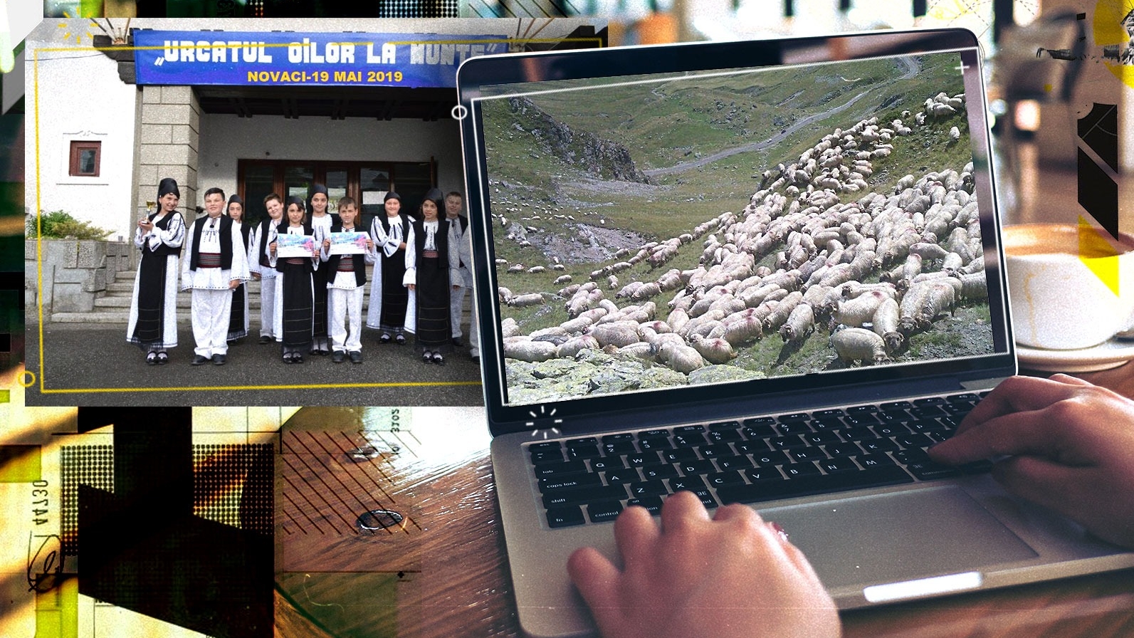 "Urcatul oilor la munte" se va face online. "Trebuie să fim consecvenți și să..."