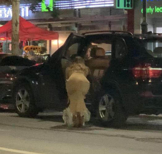Iulia Vântur așează cumpărăturile în mașină