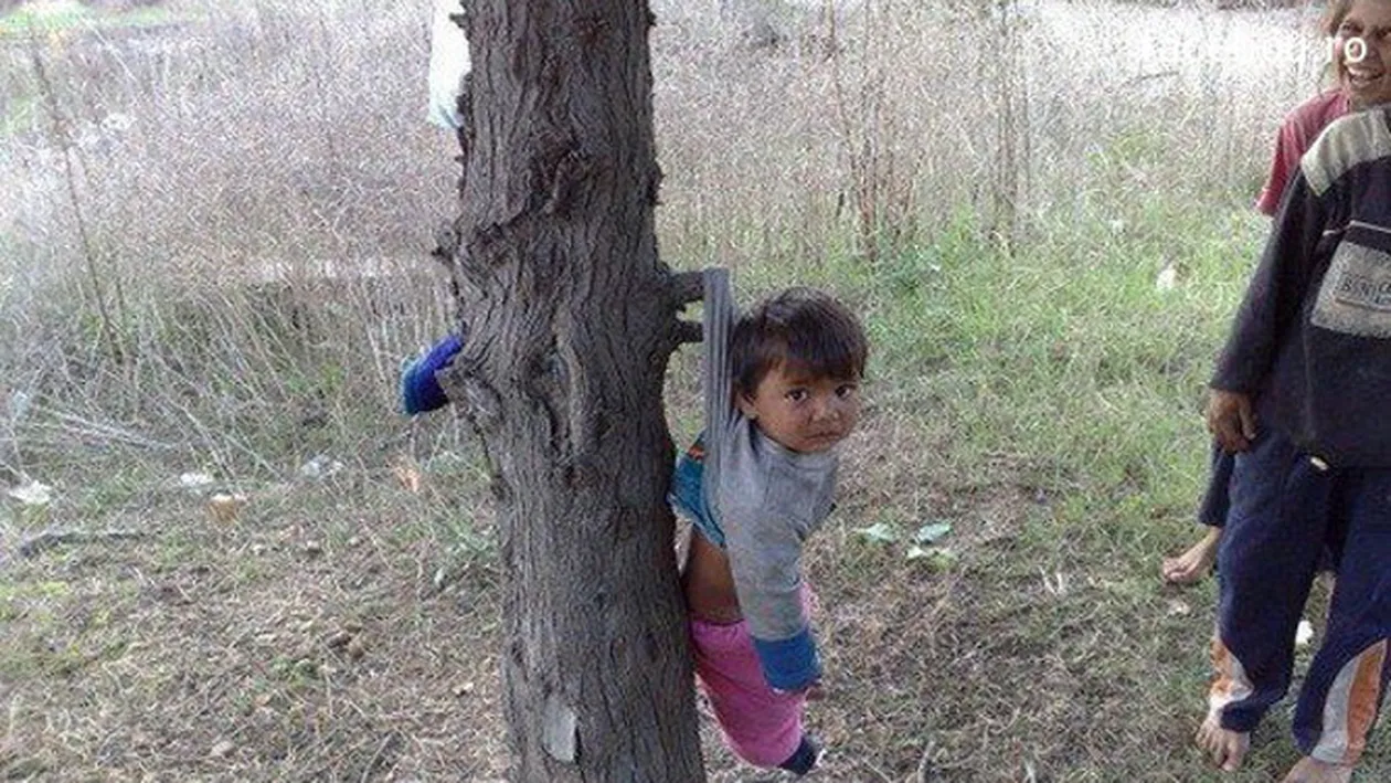 Vezi disperarea din ochii lui? Un puradel este agatat in pom de rudele mai mari si fac caterinca de el - Imaginea care te va enerva