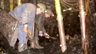 36 de mineri din Noua Zeelanda au disparut intr-o explozie in subteran