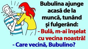 BANC | Bubulina ajunge acasă de la muncă, tunând și fulgerând: "Bulă, m-ai înșelat cu vecina noastră!"