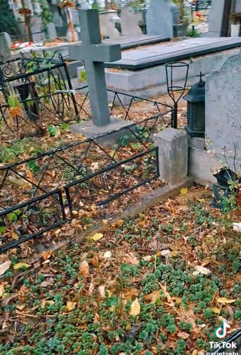 Cum arată mormântul Tamarei Buciuceanu Botez? Foto: TikTok